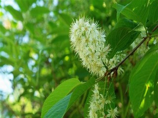 《边做饭边燥》免费观看