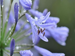 花溪区私人电影院